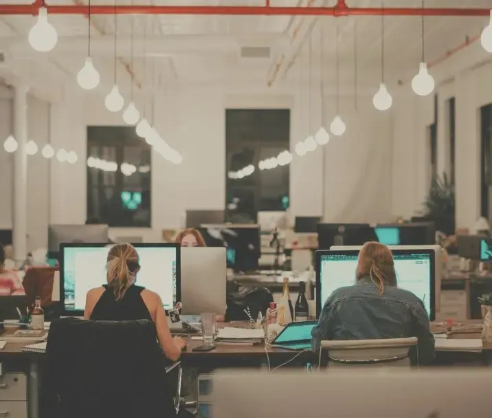 Software Development