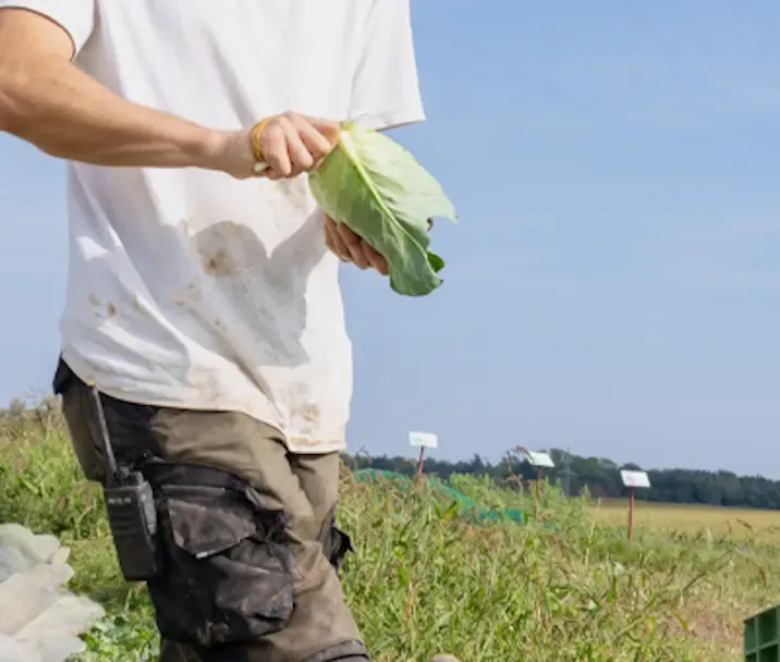 What's agriculture and animal services?