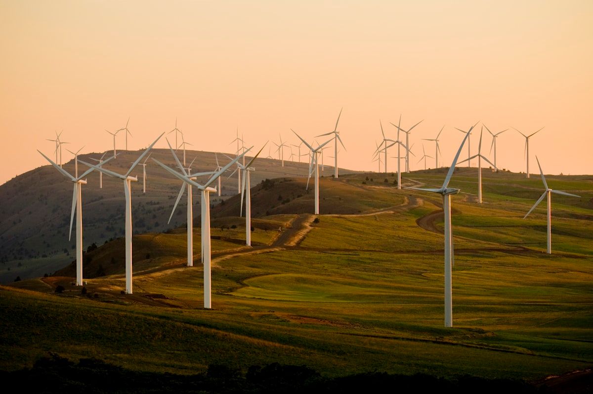 The Caring for the Land Challenge