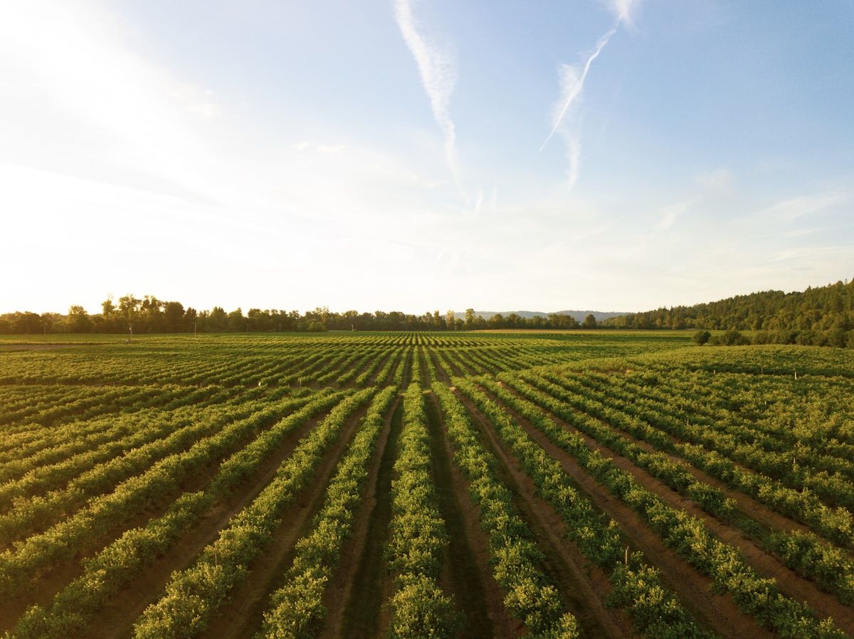 The Future Farm Face-Off