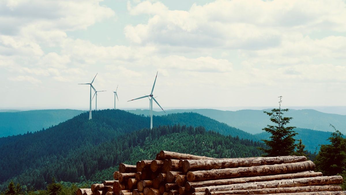 Ecological R&D: What the Work Is Really Like