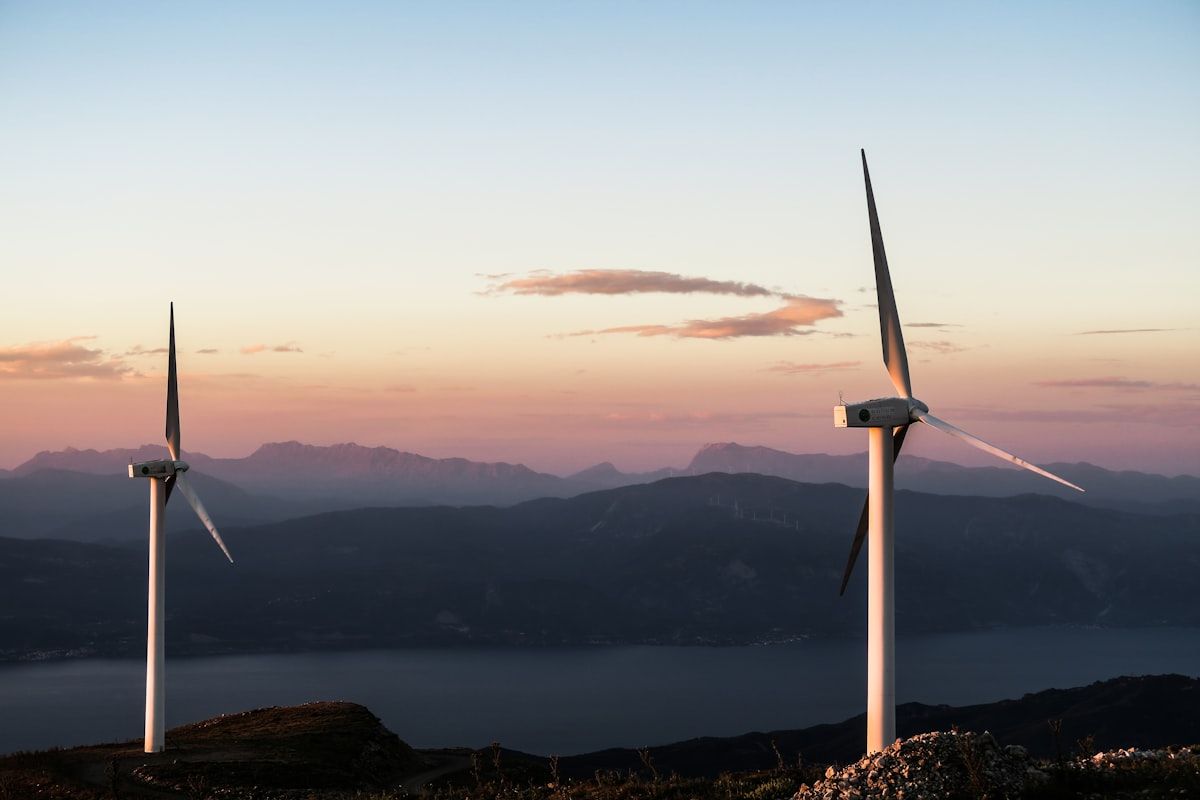 A Day in the Life of an Environmental Scientist