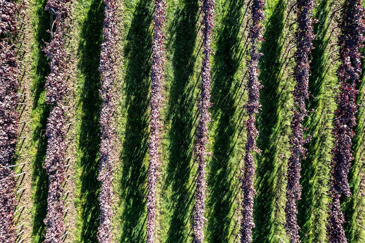 Growing the Stuff We Eat