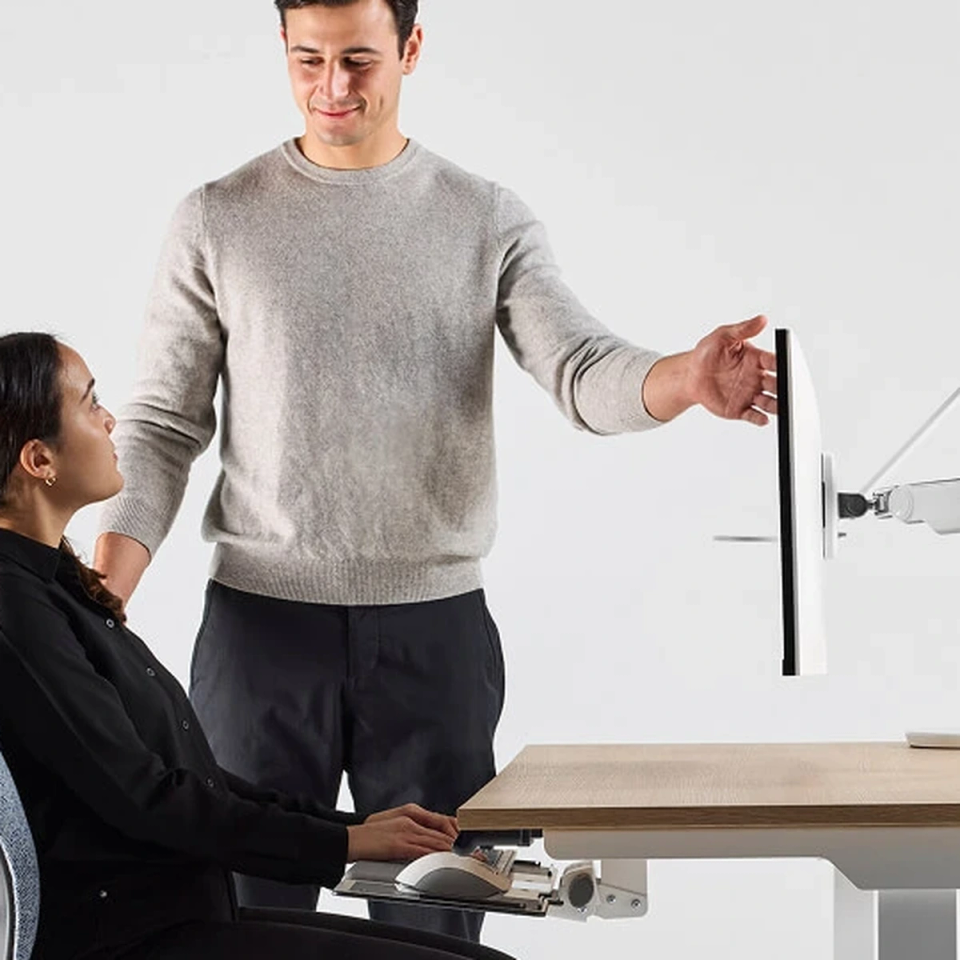 Human Factors Engineers and Ergonomists