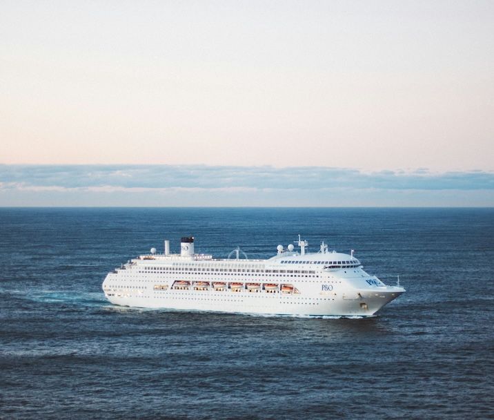 The Cruise Industry