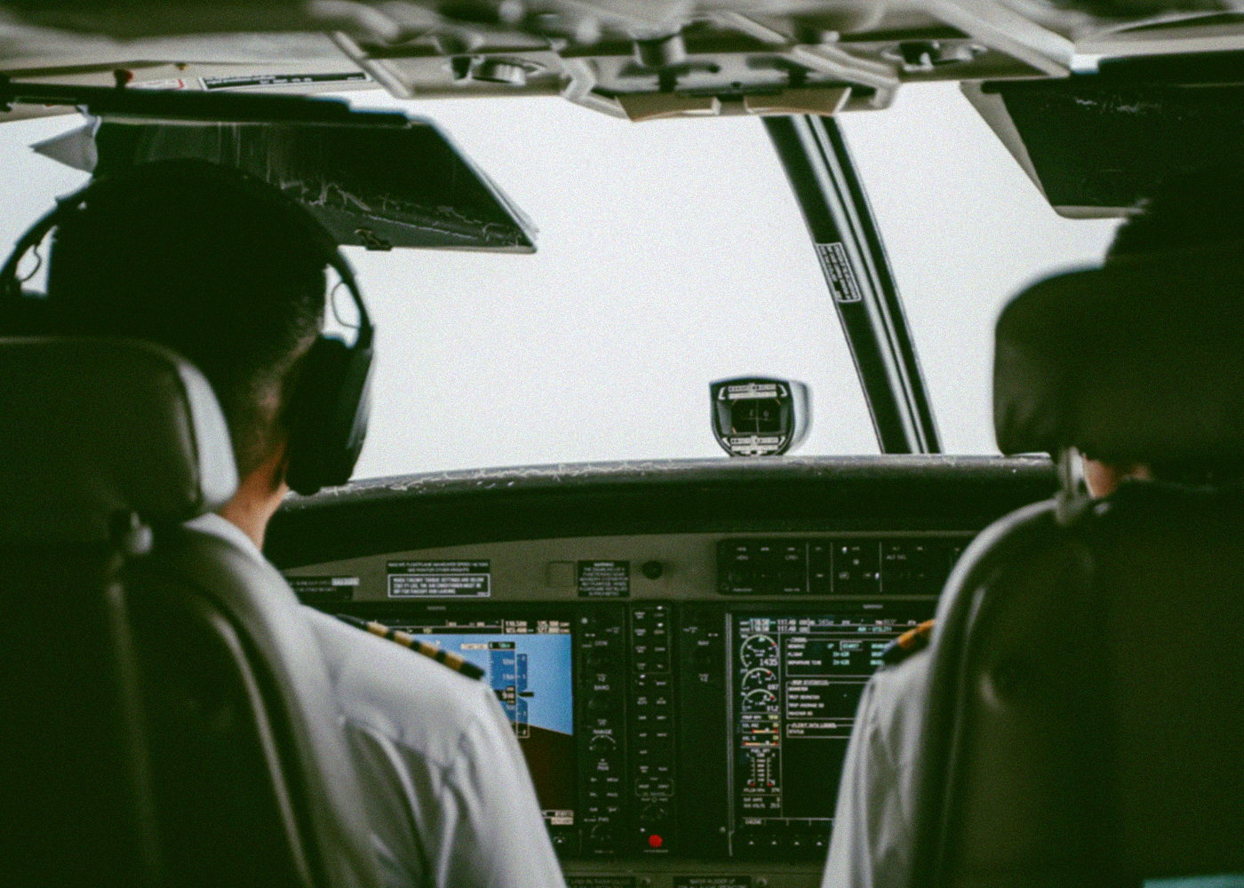 Life In The Air And At Sea