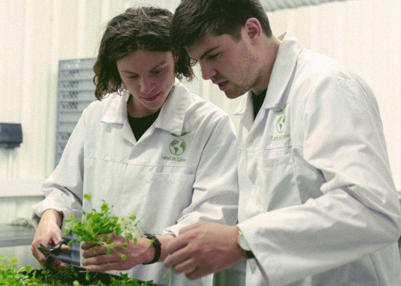 Agriculture and Food Science