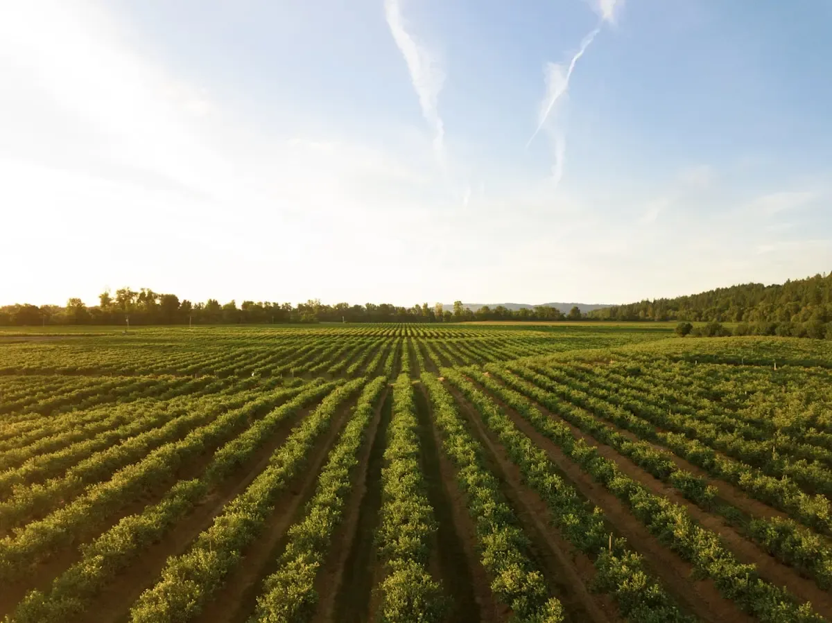 Agribusiness