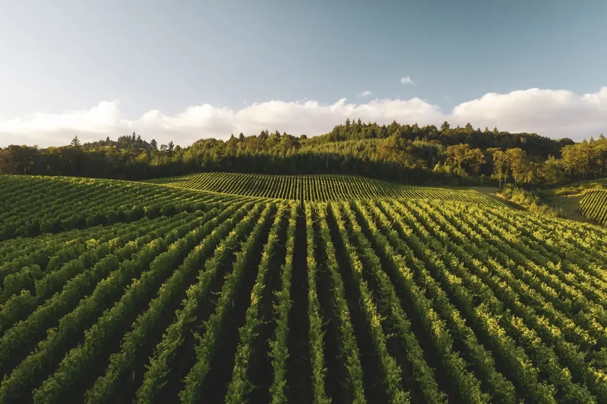 Crop Technician