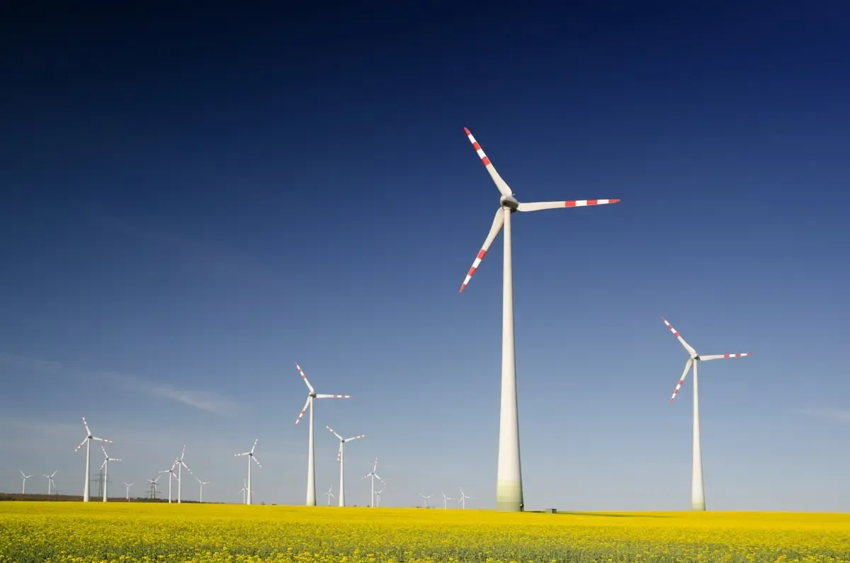 Renewable Energy Engineer