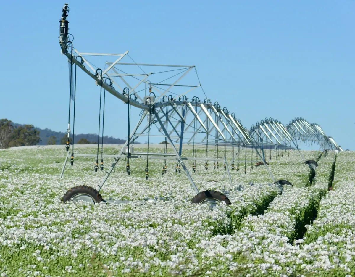 Water Systems