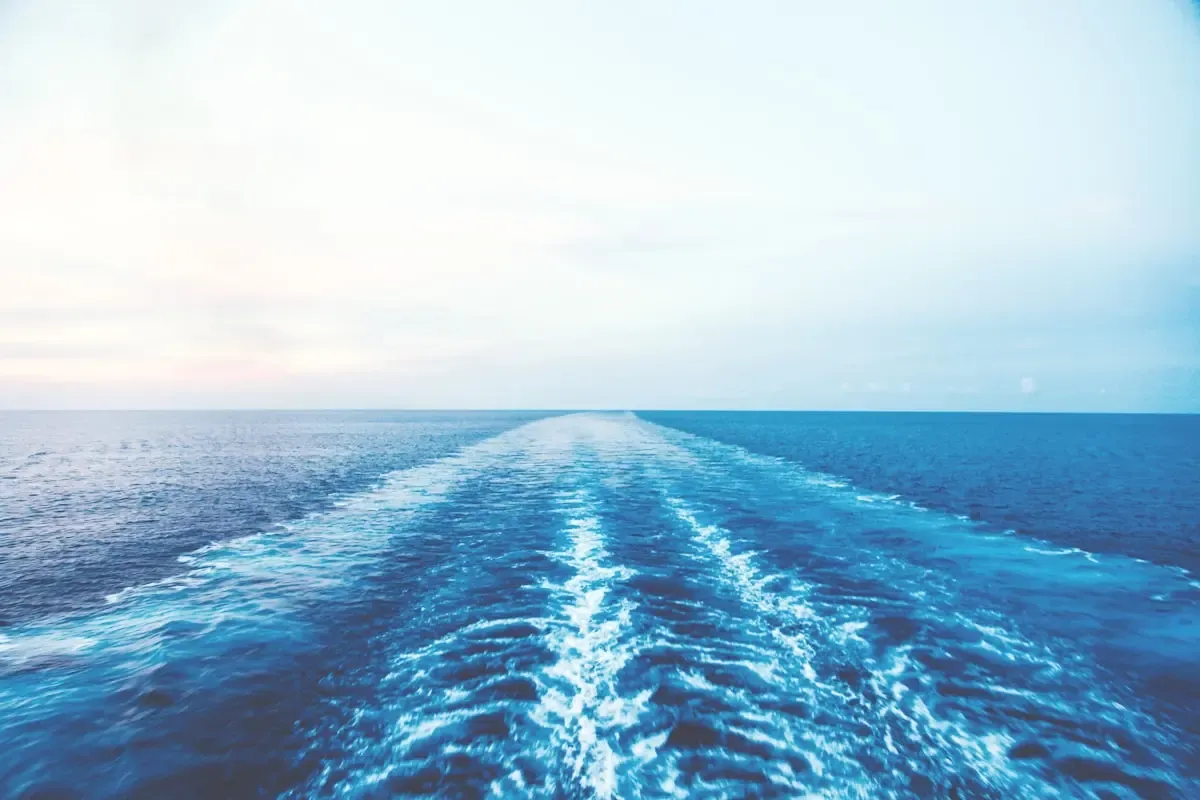 Activities Coordinator: Run Sheet At Sea