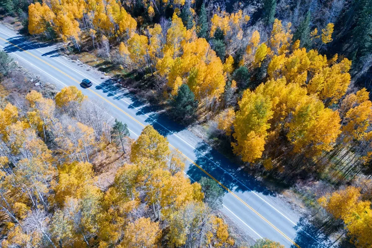 Changing Lanes