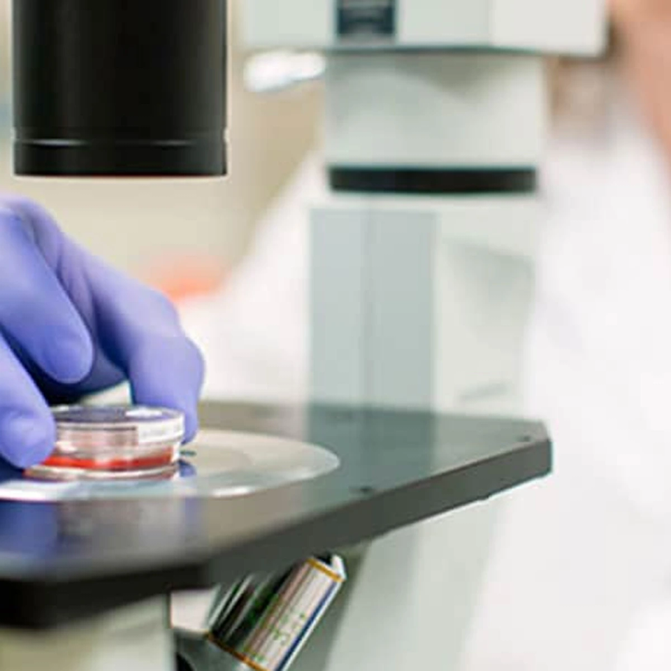 Cytogenetic Technologists